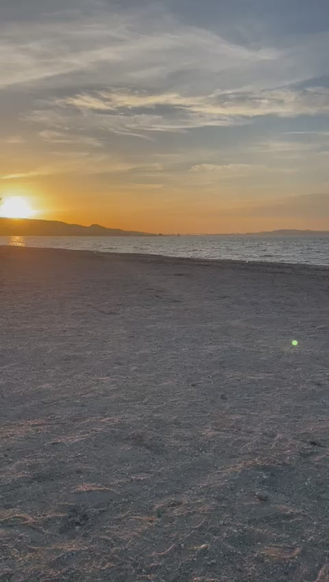 Load and play video in Gallery viewer, Marriage proposal RED HEART ♥️